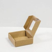 Prigodna ambalaža natur